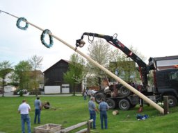 2012 Maibaum